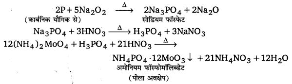 UP Board Solutions for Class 11 Chemistry Chapter 12 Organic Chemistry Some Basic Principles and Techniques img-108