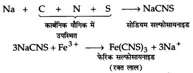 UP Board Solutions for Class 11 Chemistry Chapter 12 Organic Chemistry Some Basic Principles and Techniques img-118