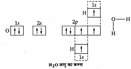 UP Board Solutions for Class 11 Chemistry Chapter 4 Chemical Bonding and Molecular Structure img-69