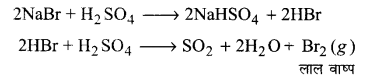 UP Board Solutions for Class 11 Chemistry Chapter 8 Redox Reactionsimg-24