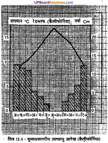 UP Board Solutions for Class 11 Geography Fundamentals of Physical Geography Chapter 12 World Climate and Climate Change (विश्व की जलवायु एवं जलवायु परिवर्तन) img 5