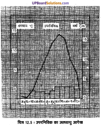 UP Board Solutions for Class 11 Geography Fundamentals of Physical Geography Chapter 12 World Climate and Climate Change (विश्व की जलवायु एवं जलवायु परिवर्तन) img 6
