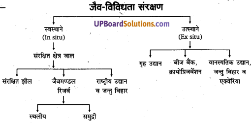 UP Board Solutions for Class 11 Geography Fundamentals of Physical Geography Chapter 16 Biodiversity and Conversation (जैव विविधता एवं संरक्षण) img 1