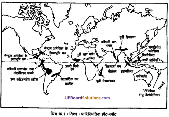 UP Board Solutions for Class 11 Geography Fundamentals of Physical Geography Chapter 16 Biodiversity and Conversation (जैव विविधता एवं संरक्षण) img 2