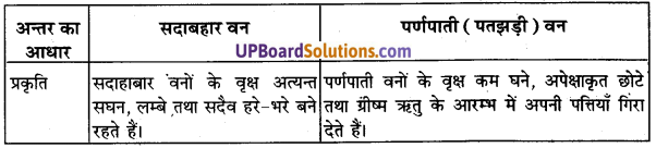 UP Board Solutions for Class 11 Geography Indian Physical Environment Chapter 5 Natural Vegetation (प्राकृतिक वनस्पति) img 1