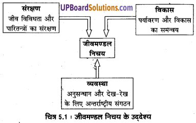 UP Board Solutions for Class 11 Geography Indian Physical Environment Chapter 5 Natural Vegetation (प्राकृतिक वनस्पति) img 2