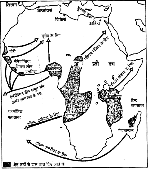 UP Board Solutions for Class 11 History Chapter 8 Confrontation of Cultures image 1