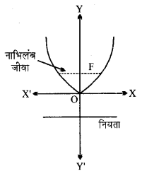 UP Board Solutions for Class 11 Maths Chapter 11 Conic Sections 11.2 2