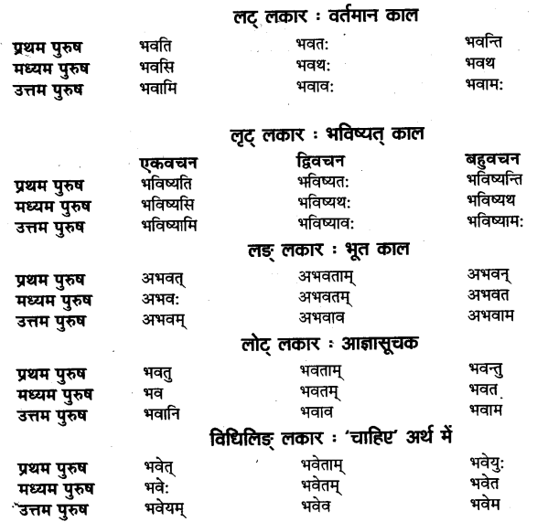 UP Board Solutions for Class 11 Sahityik Hindi धातु-रूप-प्रकरणे 11