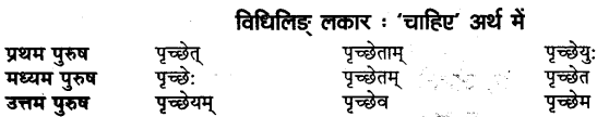 UP Board Solutions for Class 11 Sahityik Hindi धातु-रूप-प्रकरणे 19