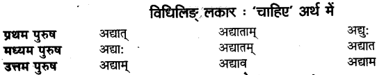 UP Board Solutions for Class 11 Sahityik Hindi धातु-रूप-प्रकरणे 22