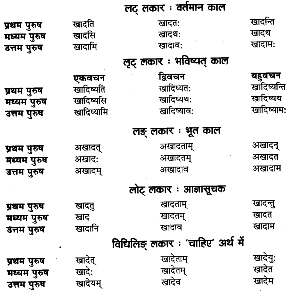 UP Board Solutions for Class 11 Sahityik Hindi धातु-रूप-प्रकरणे 23