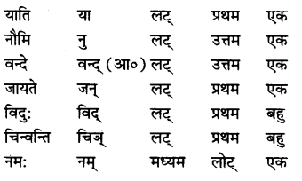 UP Board Solutions for Class 11 Sahityik Hindi धातु-रूप-प्रकरणे 30