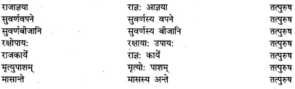 UP Board Solutions for Class 11 Sahityik Hindi समास-प्रकरण 9