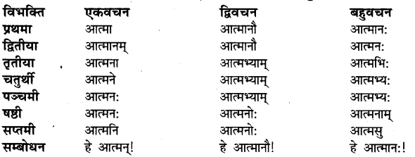UP Board Solutions for Class 11 Sahityik Hindi शब्द-रूप-प्रकरण 1
