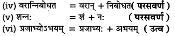 UP Board Solutions for Class 11 Sahityik Hindi सन्धि-प्रकरण 10