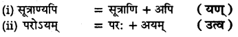 UP Board Solutions for Class 11 Sahityik Hindi सन्धि-प्रकरण 20