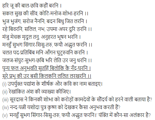 UP Board Solutions for Class 11 Samanya Hindi काव्यांजलि Chapter 2 सूरदास img-6