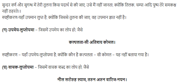 UP Board Solutions for Class 11 Samanya Hindi अलंकार img-14