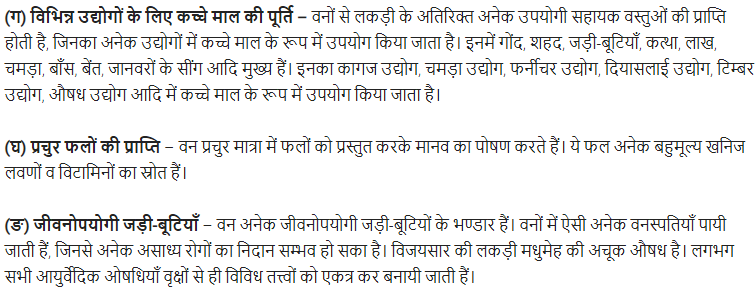 UP Board Solutions for Class 11 Samanya Hindi उपयोगितापरक निबन्ध img-2