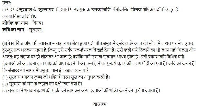 UP Board Solutions for Class 11 Samanya Hindi काव्यांजलि Chapter 2 सूरदास img-5