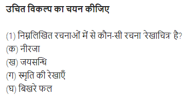 UP Board Solutions for Class 11 Samanya Hindi गद्य-साहित्य विकास बहुविकल्पीय प्रश्न दो img-29