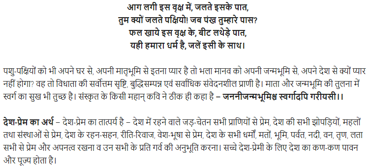 UP Board Solutions for Class 11 Samanya Hindi राष्ट्रीय भावनापरक निबन्ध img-13