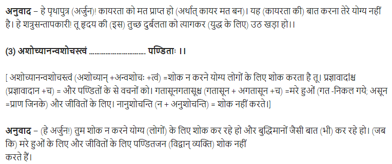 UP Board Solutions for Class 11 Samanya Hindi संस्कृत दिग्दर्शिका Chapter 5 गीतामृतम् img-3