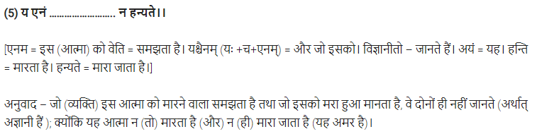 UP Board Solutions for Class 11 Samanya Hindi संस्कृत दिग्दर्शिका Chapter 5 गीतामृतम् img-5