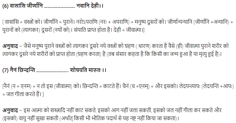 UP Board Solutions for Class 11 Samanya Hindi संस्कृत दिग्दर्शिका Chapter 5 गीतामृतम् img-6