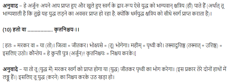 UP Board Solutions for Class 11 Samanya Hindi संस्कृत दिग्दर्शिका Chapter 5 गीतामृतम् img-8