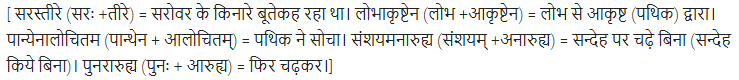 UP Board Solutions for Class 11 Samanya Hindi संस्कृत दिग्दर्शिका Chapter 6 लोभ पापस्य करणम् img-1