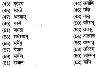 UP Board Solutions for Class 11 Samanya Hindi संस्कृत शब्दों में विभक्ति की पहचान img-12