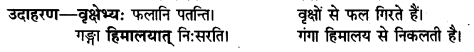 UP Board Solutions for Class 11 Samanya Hindi संस्कृत शब्दों में विभक्ति की पहचान img-5