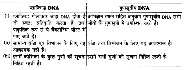 UP Board Solutions for Class 12 Biology Chapter 11 Biotechnology Principles and Processes img-5
