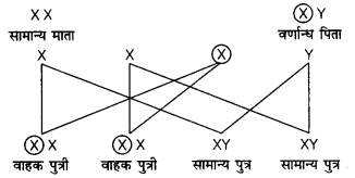 UP Board Solutions for Class 12 Biology Chapter 5 Principles of Inheritance and Variation img-19