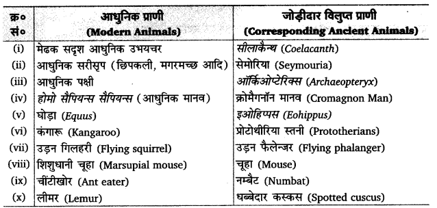 UP Board Solutions for Class 12 Biology Chapter 7 Evolution img-1