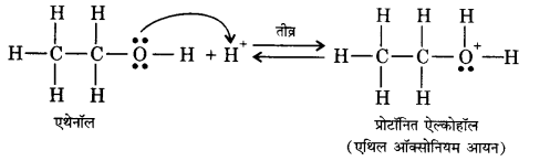 UP Board Solutions for Class 12 Chemistry Chapter 11 Alcohols Phenols and Ethers image 55