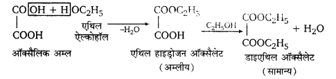 UP Board Solutions for Class 12 Chemistry Chapter 12 Aldehydes Ketones and Carboxylic Acids image 157