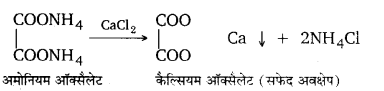 UP Board Solutions for Class 12 Chemistry Chapter 12 Aldehydes Ketones and Carboxylic Acids image 161