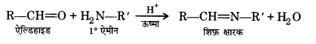 UP Board Solutions for Class 12 Chemistry Chapter 12 Aldehydes Ketones and Carboxylic Acids image 25