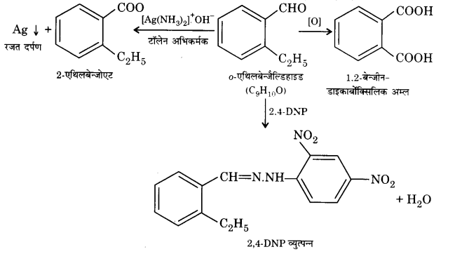 UP Board Solutions for Class 12 Chemistry Chapter 12 Aldehydes Ketones and Carboxylic Acids image 43