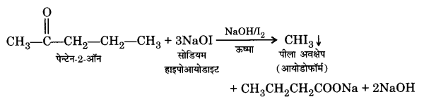 UP Board Solutions for Class 12 Chemistry Chapter 12 Aldehydes Ketones and Carboxylic Acids image 51