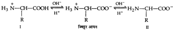 UP Board Solutions for Class 12 Chemistry Chapter 14 Biomolecules image 12