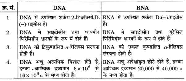 UP Board Solutions for Class 12 Chemistry Chapter 14 Biomolecules image 14