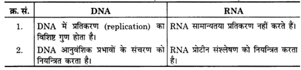 UP Board Solutions for Class 12 Chemistry Chapter 14 Biomolecules image 15