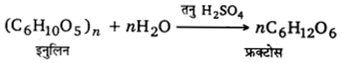 UP Board Solutions for Class 12 Chemistry Chapter 14 Biomolecules image 16