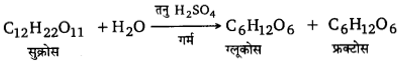 UP Board Solutions for Class 12 Chemistry Chapter 14 Biomolecules image 17