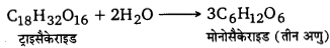 UP Board Solutions for Class 12 Chemistry Chapter 14 Biomolecules image 18