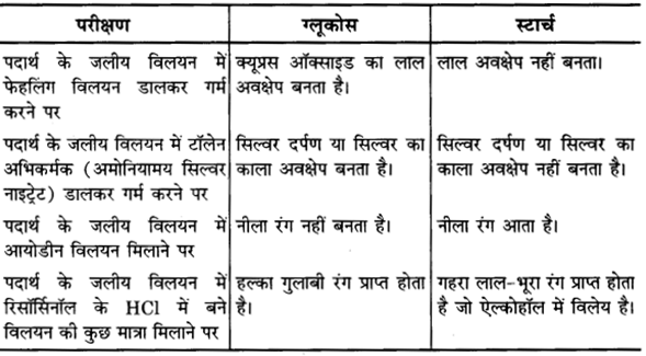 UP Board Solutions for Class 12 Chemistry Chapter 14 Biomolecules image 20